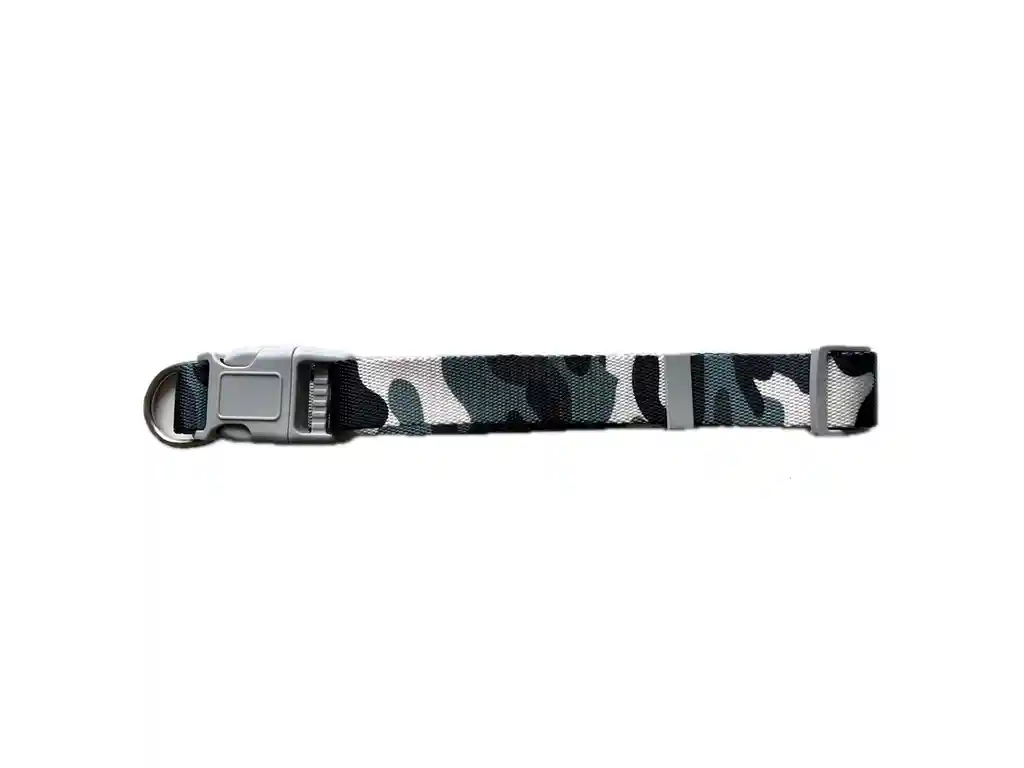 Collar Para Perro - Razas Pequeñas