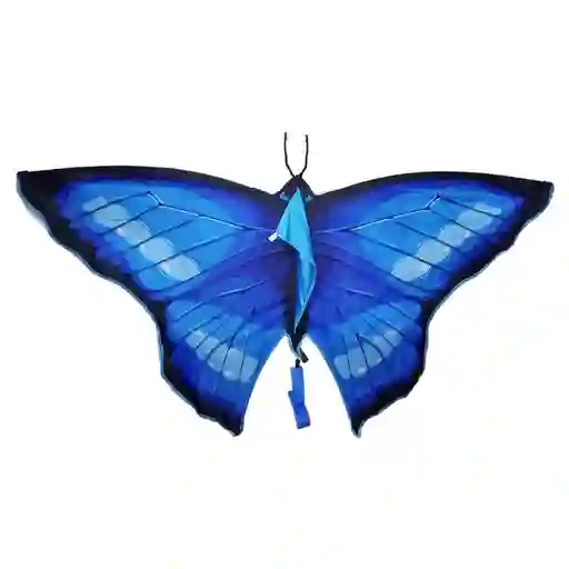 Cometa Chulo Mariposa