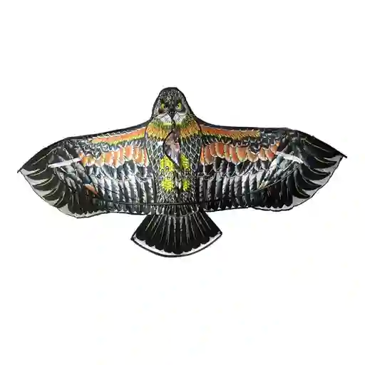 Cometa Chulo Aguila Grande