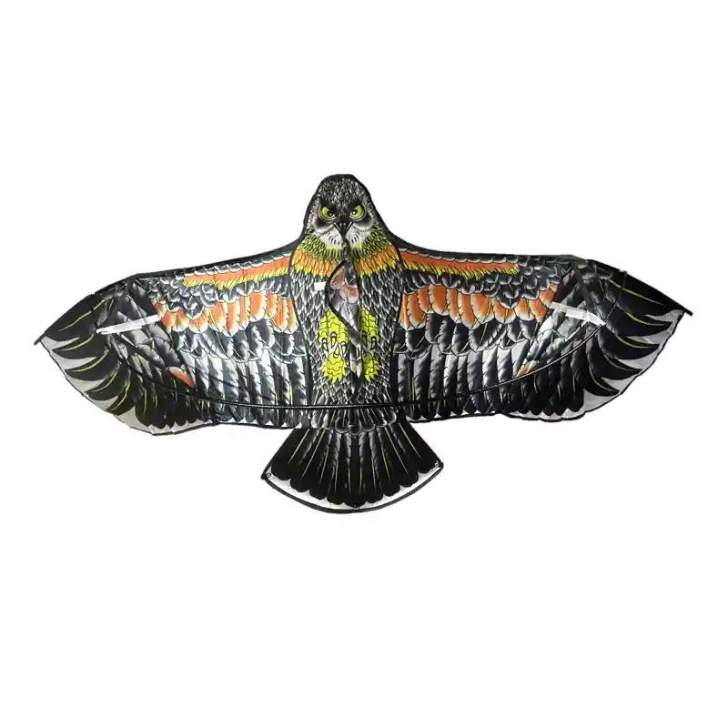 Cometa Chulo Aguila Grande