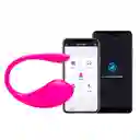 Kit Webcam Interactivo Premium Lush