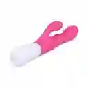 Kit Webcam Interactivo Gold Nora