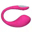 Kit Webcam Interactivo Deluxe Lush