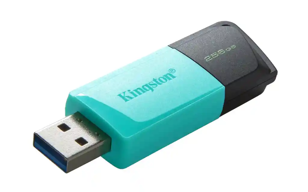 Usb Kingston 256gb