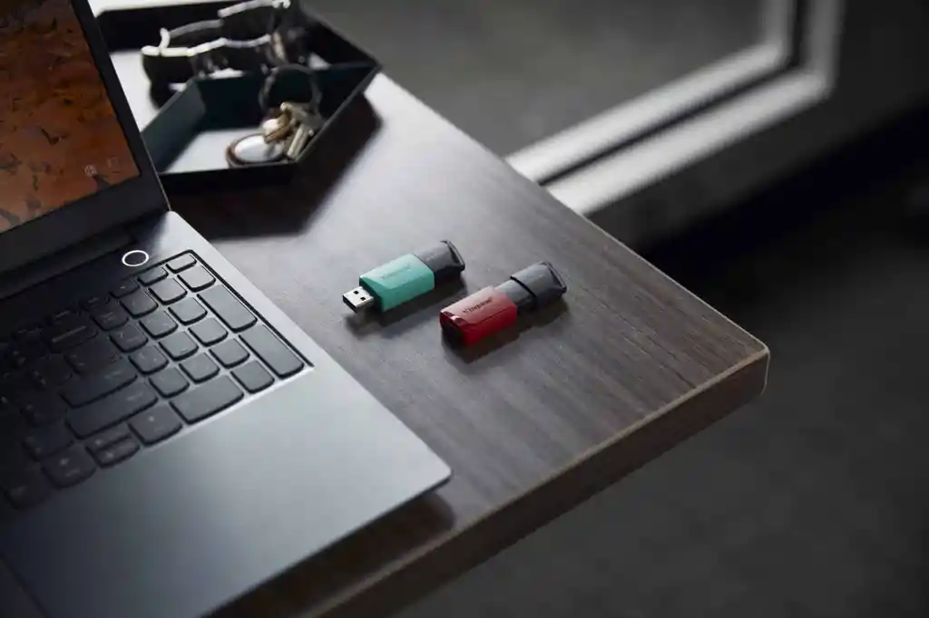 Usb Kingston 256gb
