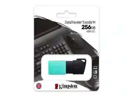 Usb Kingston 256gb
