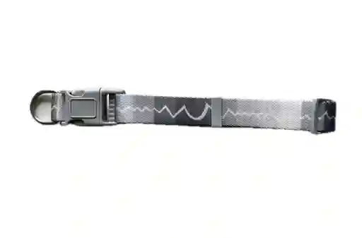 Collar Para Perro - Razas Grandes