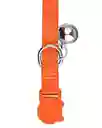 Collar Para Gato - Naranja