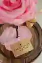 Rosa Eterna Rosada En Cúpula