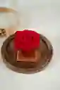 Rosa Eterna Roja En Cúpula Pequeña