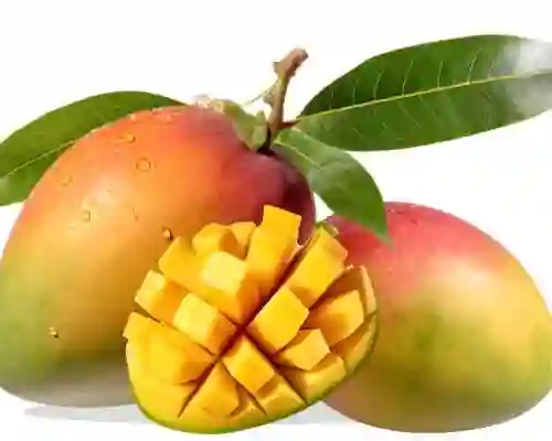 Mango Tommy