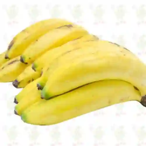 Banano Criollo