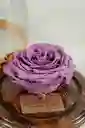 Rosa Eterna Lila En Cúpula Pequeña