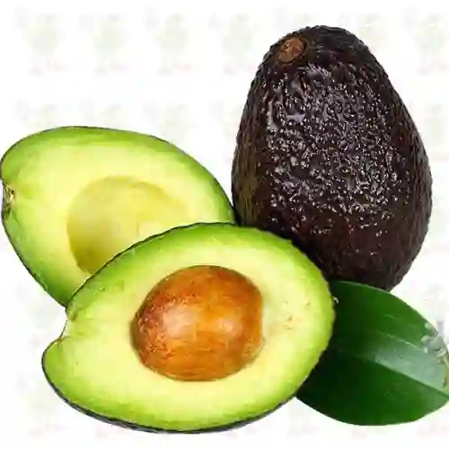 Aguacate Hass