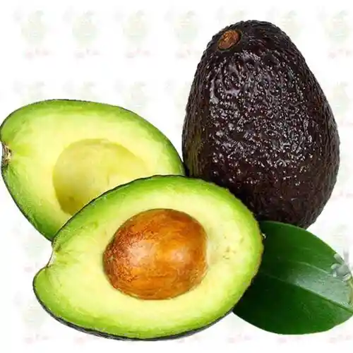 Aguacate Hass