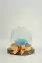 Rosa Eterna Celeste En Cúpula Pequeña