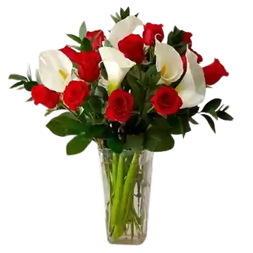 Rosas Rojas Y Calas En Florero