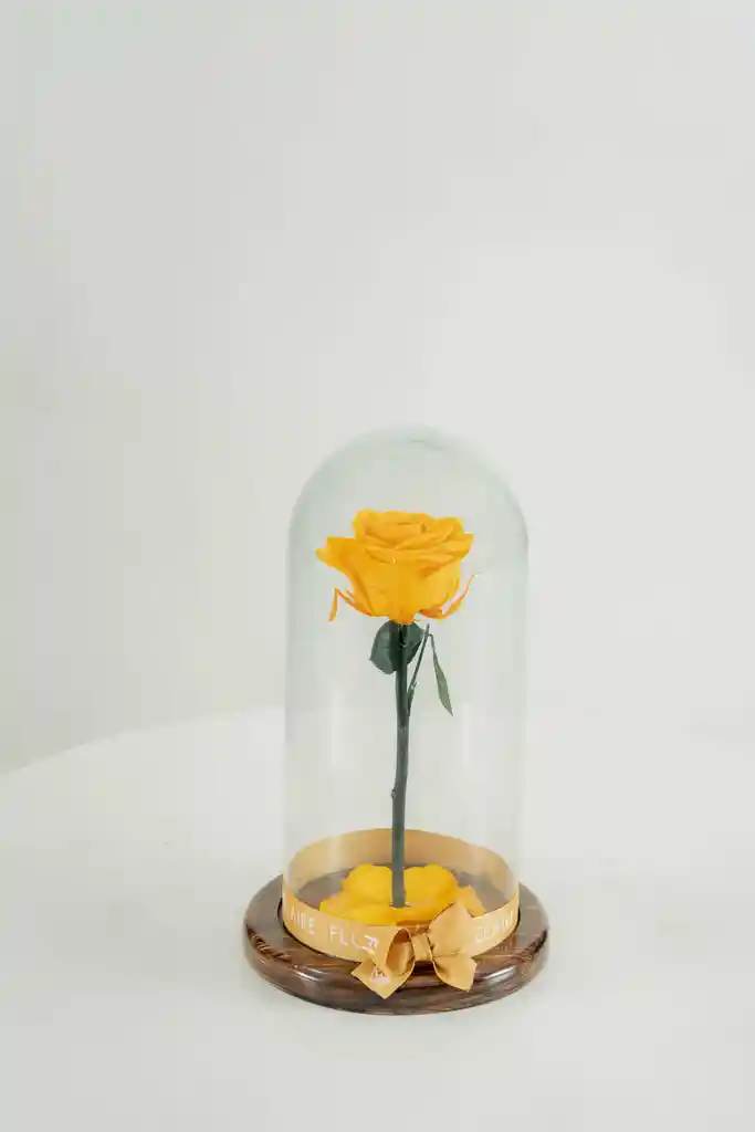 Rosa Eterna Amarilla En Cúpula