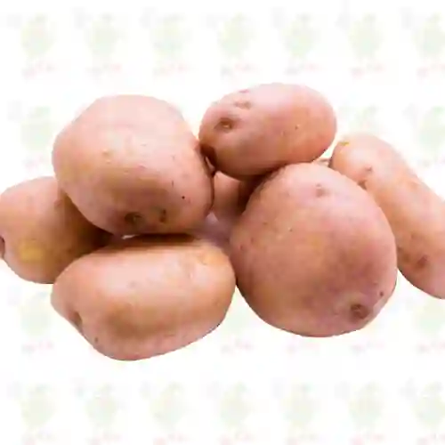 Papa Lavada
