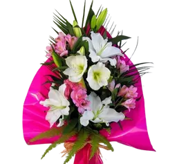 Flores Lirios Y Astromelias