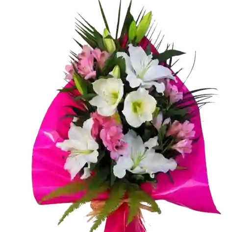 Flores Lirios Y Astromelias