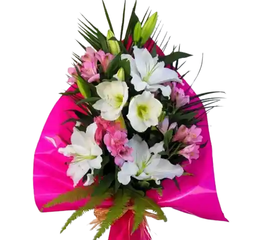 Flores Lirios Y Astromelias