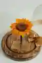 Girasol Preservado En Cúpula Pequeña