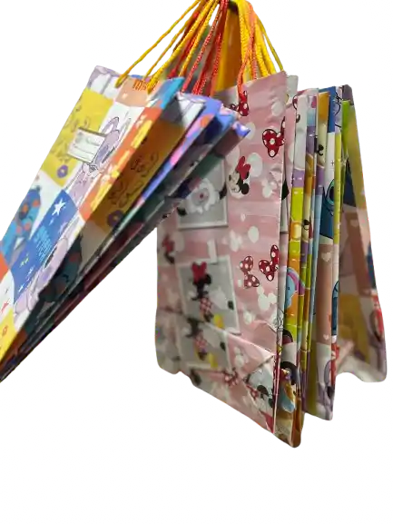 Bolsa Economica X12