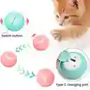 Pelota Con Movimento Recargable