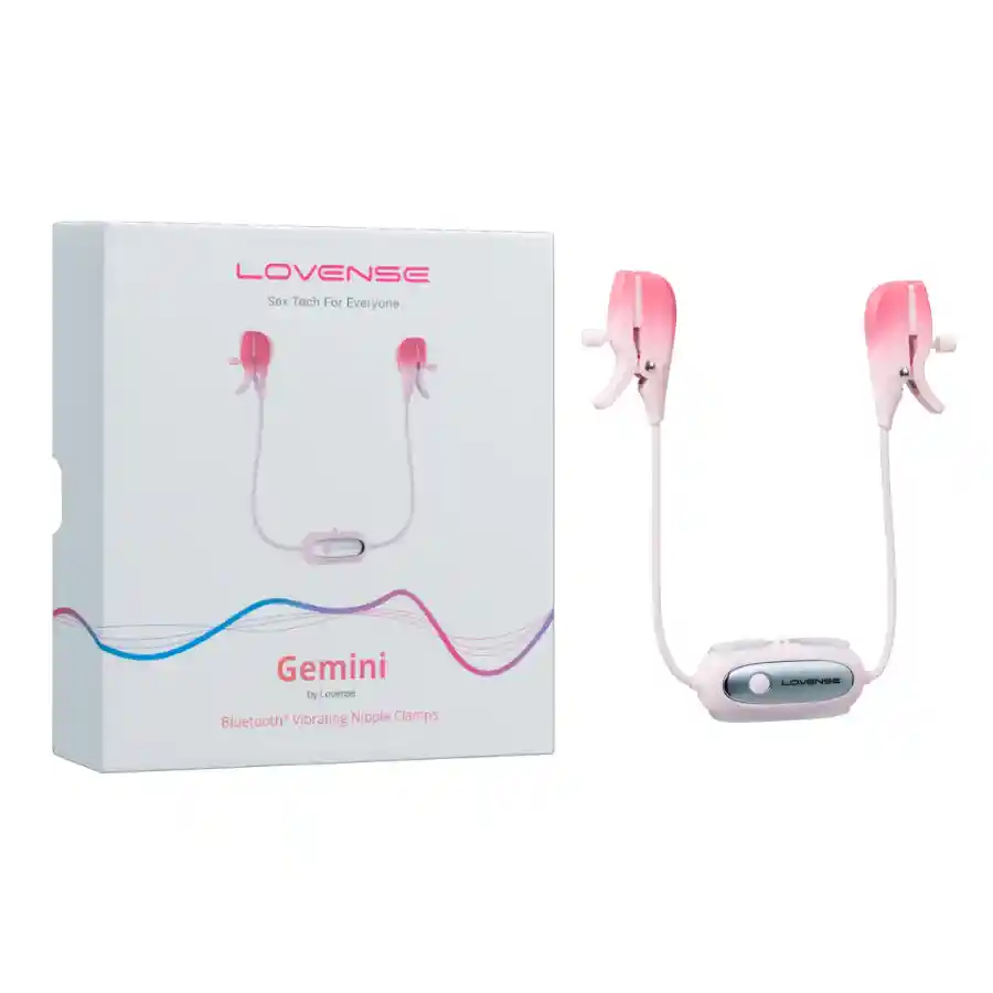 Kit Webcam Interactivo Silver Gemini