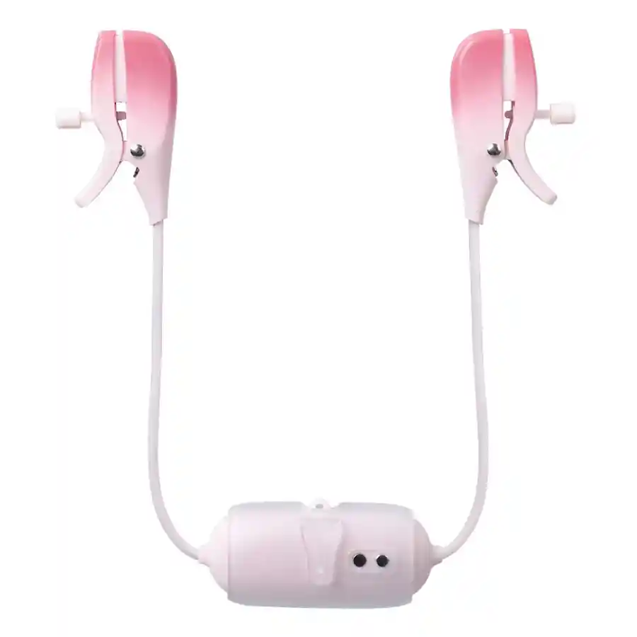 Kit Webcam Interactivo Silver Gemini