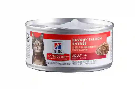 Feline Adult Salmon Lata X 5,5oz