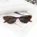 Lentes De Sol Con Estuche Rigido De Lona 050