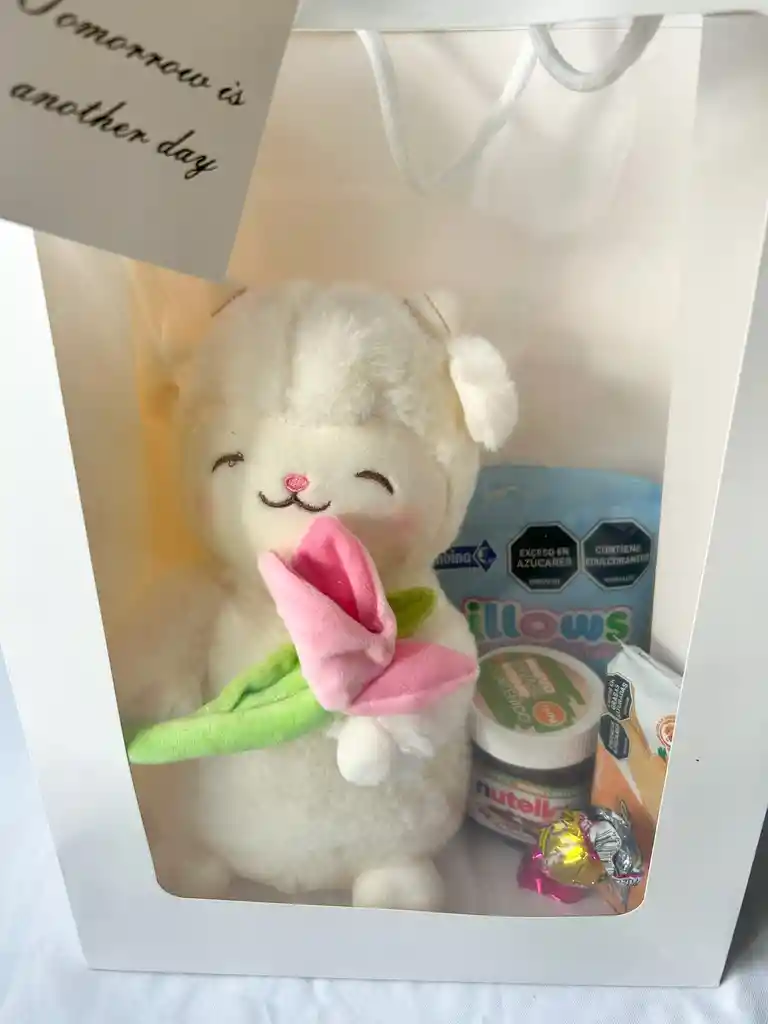 Bolsa De Regalo Con Peluche