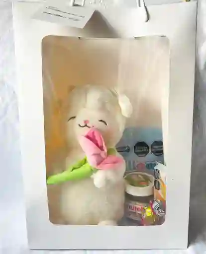 Bolsa De Regalo Con Peluche