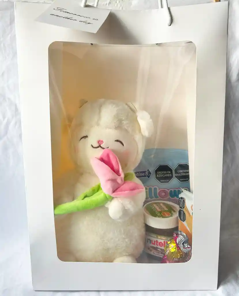 Bolsa De Regalo Con Peluche