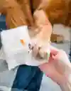 Pañitos Humedos X 80 Uni Petys