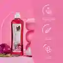 Shampoo Cebolla Natural Sant X 500 Ml
