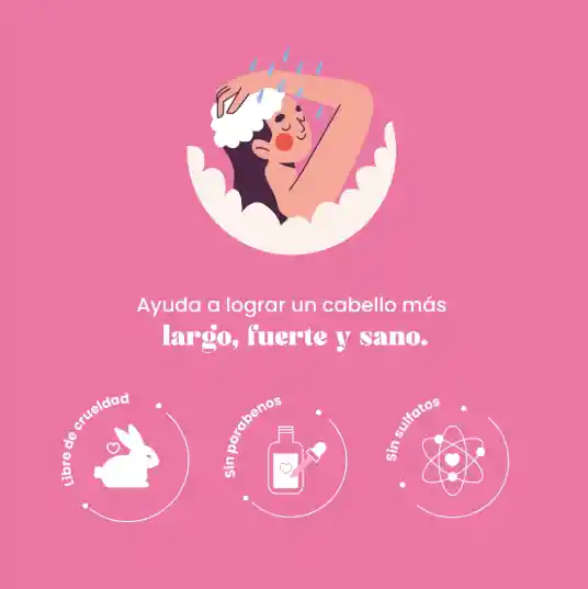 Shampoo Cebolla Natural Sant X 500 Ml