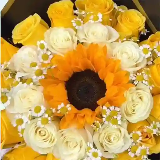 Rosas Bouquet Color Duo Rosas X24 Y Girasol