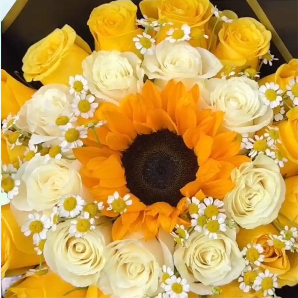 Rosas Bouquet Color Duo Rosas X24 Y Girasol