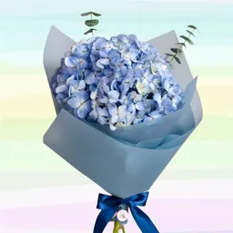 Flores Bouquet Hortensias Más Decoración