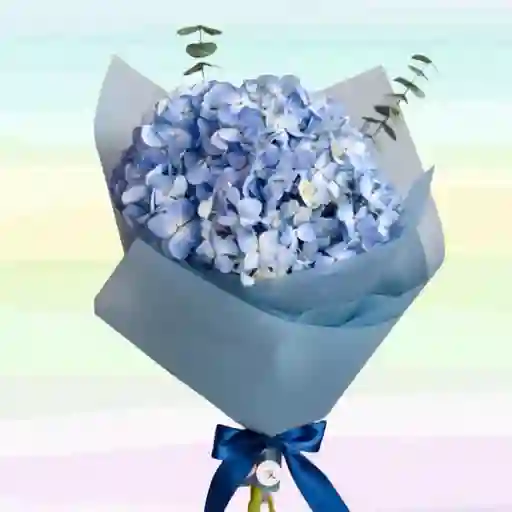 Flores Bouquet Hortensias Más Decoración