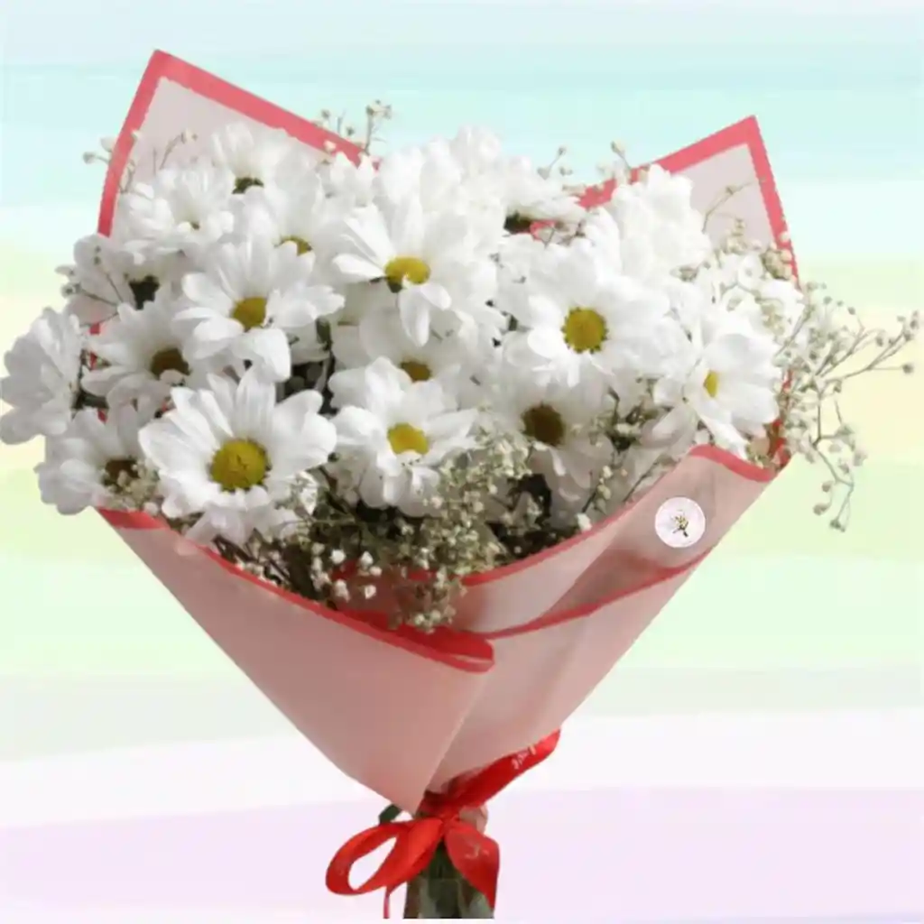 Flores Bouquet Margarita X24