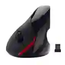 Raton Mouse Vertical Inalambrico Ergonomico Tunel Carpo