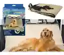 Pet Zoom