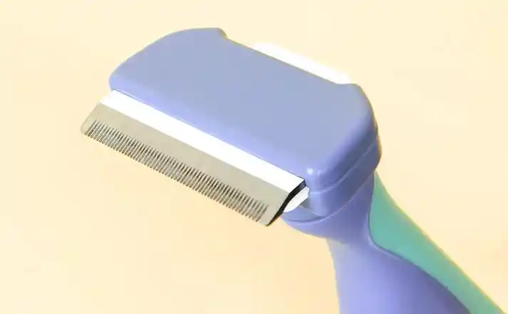 Brush Cut P
