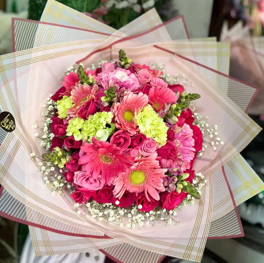 Capuchón Surtido Xl