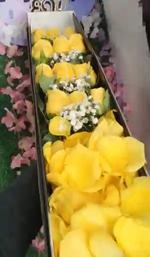 Caja Por 12 Rosas
