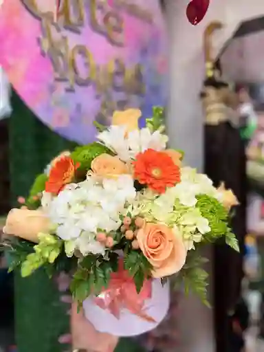 Cilindro Exótico Mediano